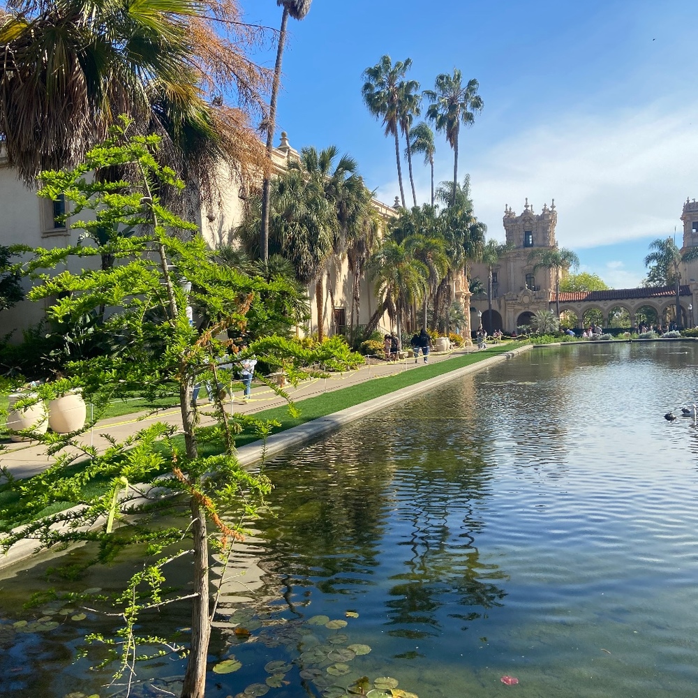 Meet your Posher, Susie